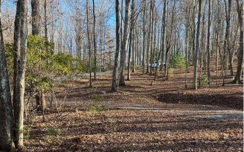 Turkey Scratch Road Morganton GA 30560