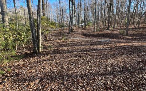 Turkey Scratch Road Morganton GA 30560