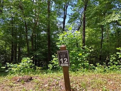 Lot 12 Hightower Ridge Hiawassee GA 30546