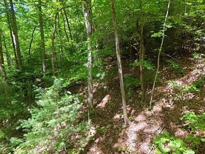 Lot 12 Hightower Ridge Hiawassee GA 30546