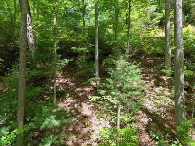 Lot 12 Hightower Ridge Hiawassee GA 30546
