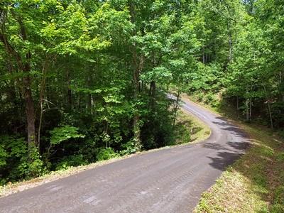 Lot 12 Hightower Ridge Hiawassee GA 30546