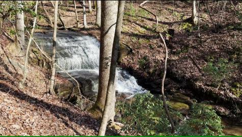 216 St Andrews Way Ellijay GA 30536