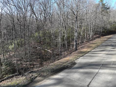 216 St Andrews Way Ellijay GA 30536