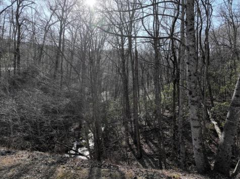 216 St Andrews Way Ellijay GA 30536