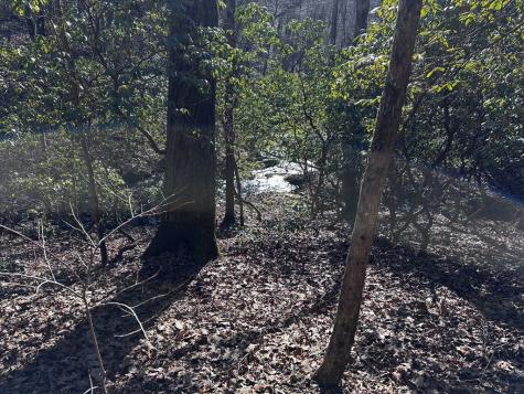 216 St Andrews Way Ellijay GA 30536