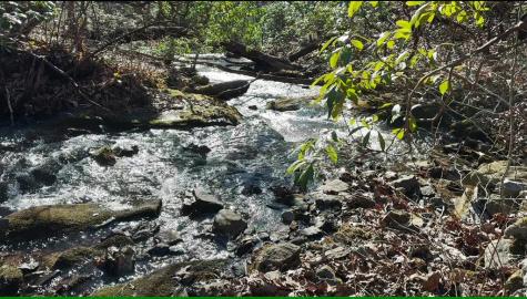 216 St Andrews Way Ellijay GA 30536