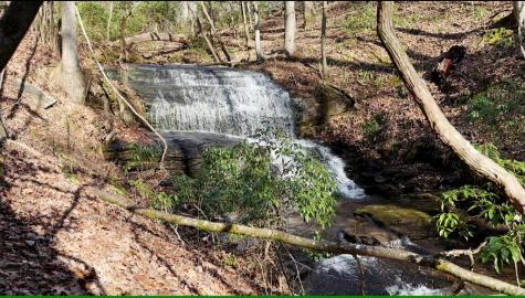 216 St Andrews Way Ellijay GA 30536