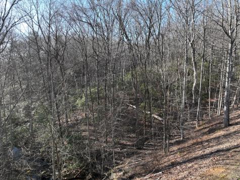 216 St Andrews Way Ellijay GA 30536