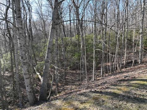 216 St Andrews Way Ellijay GA 30536