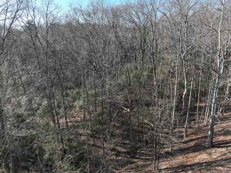 216 St Andrews Way Ellijay GA 30536