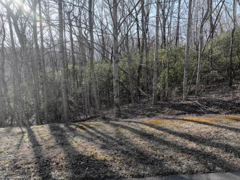 216 St Andrews Way Ellijay GA 30536