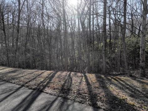 216 St Andrews Way Ellijay GA 30536