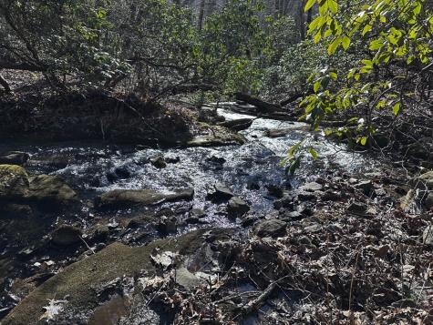 216 St Andrews Way Ellijay GA 30536