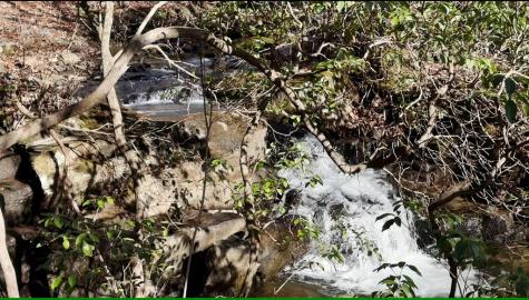 216 St Andrews Way Ellijay GA 30536