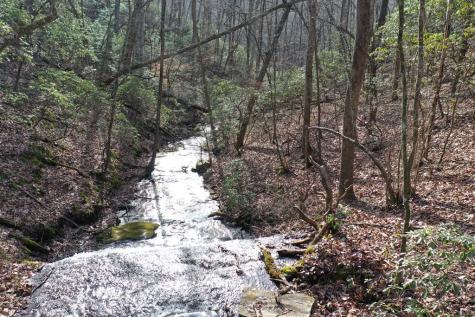 216 St Andrews Way Ellijay GA 30536