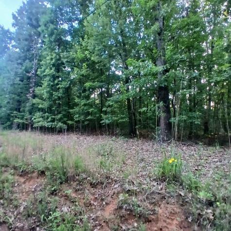 Tr. 2 Raven Cliff Road Talking Rock GA 30175