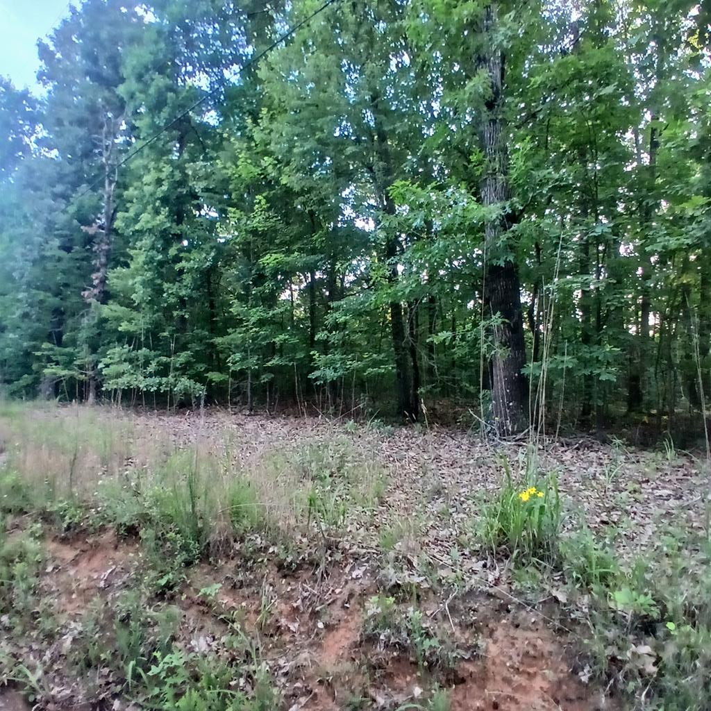 Tr. 2 Raven Cliff Road Talking Rock GA 30175