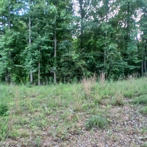Tr. 2 Raven Cliff Road Talking Rock GA 30175