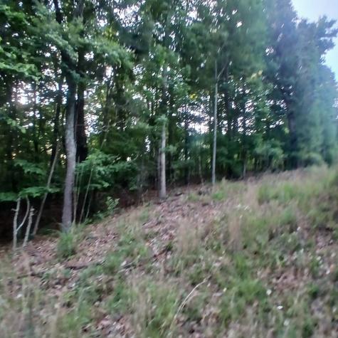Tr. 2 Raven Cliff Road Talking Rock GA 30175