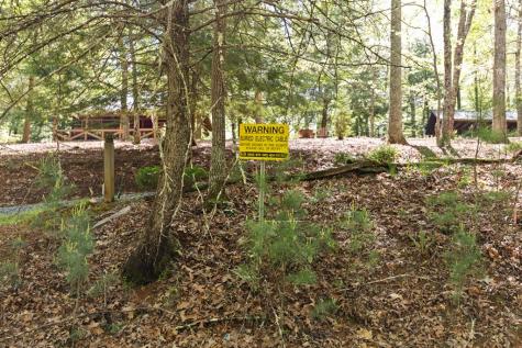 75 Acre Chinkapin Drive Blue Ridge GA 30513