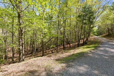 75 Acre Chinkapin Drive Blue Ridge GA 30513