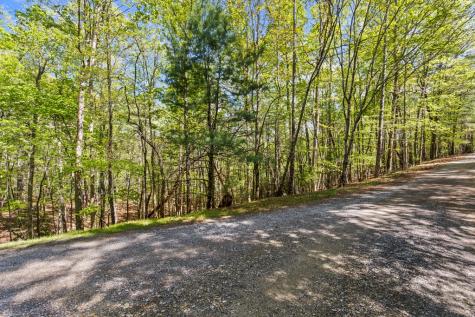 75 Acre Chinkapin Drive Blue Ridge GA 30513