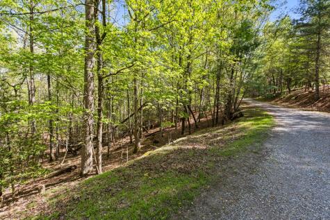 75 Acre Chinkapin Drive Blue Ridge GA 30513