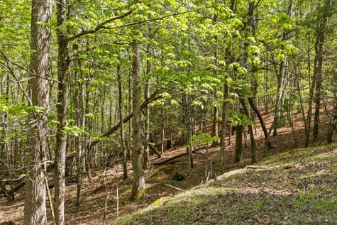 75 Acre Chinkapin Drive Blue Ridge GA 30513