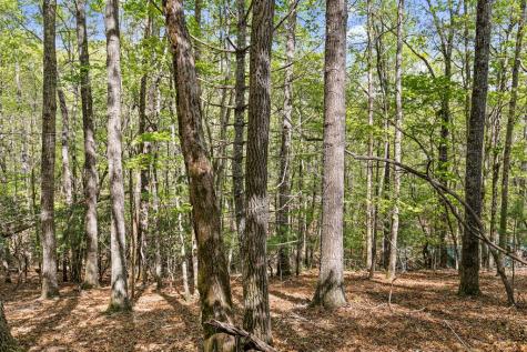 75 Acre Chinkapin Drive Blue Ridge GA 30513