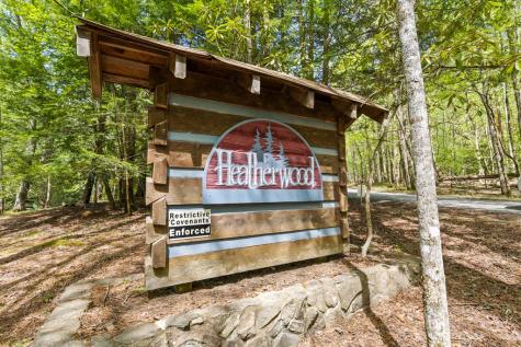 75 Acre Chinkapin Drive Blue Ridge GA 30513