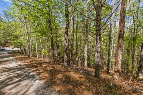 75 Acre Chinkapin Drive Blue Ridge GA 30513