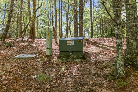 75 Acre Chinkapin Drive Blue Ridge GA 30513