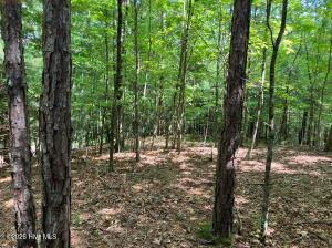 Lot 11 Green Cove Circle Murphy NC 28906