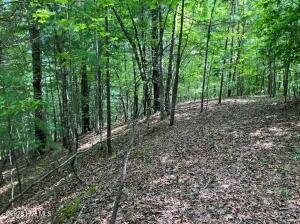 Lot 11 Green Cove Circle Murphy NC 28906