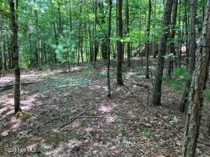 Lot 11 Green Cove Circle Murphy NC 28906