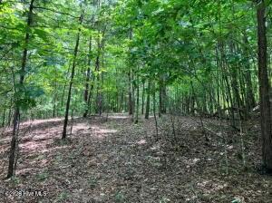 Lot 11 Green Cove Circle Murphy NC 28906