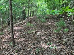 Lot 11 Green Cove Circle Murphy NC 28906