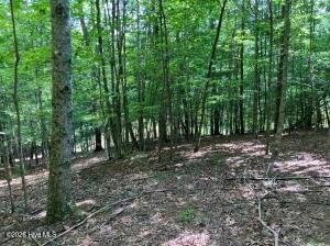 Lot 11 Green Cove Circle Murphy NC 28906