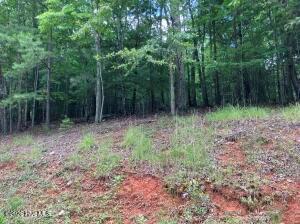 Lot 11 Green Cove Circle Murphy NC 28906