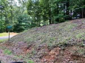 Lot 11 Green Cove Circle Murphy NC 28906