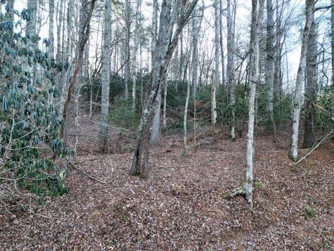 Lot 1 Papas Mountain Road Blairsville GA 30512
