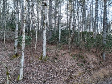 Lot 1 Papas Mountain Road Blairsville GA 30512