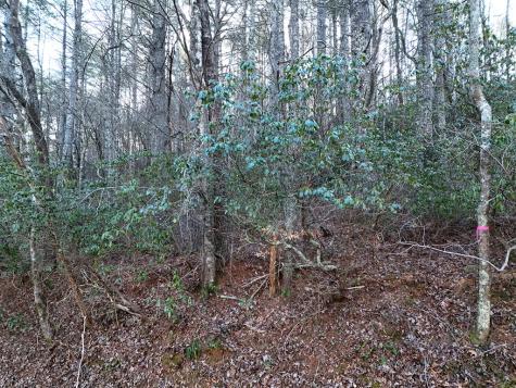 Lot 1 Papas Mountain Road Blairsville GA 30512