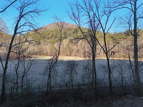 Lot 1 Papas Mountain Road Blairsville GA 30512