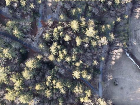 Lot 1 Papas Mountain Road Blairsville GA 30512