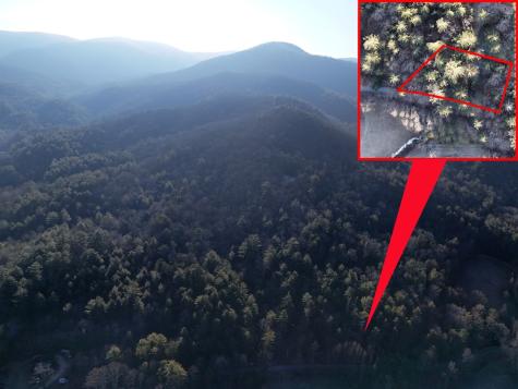 Lot 1 Papas Mountain Road Blairsville GA 30512