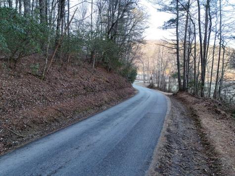Lot 1 Papas Mountain Road Blairsville GA 30512