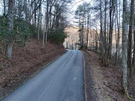 Lot 1 Papas Mountain Road Blairsville GA 30512