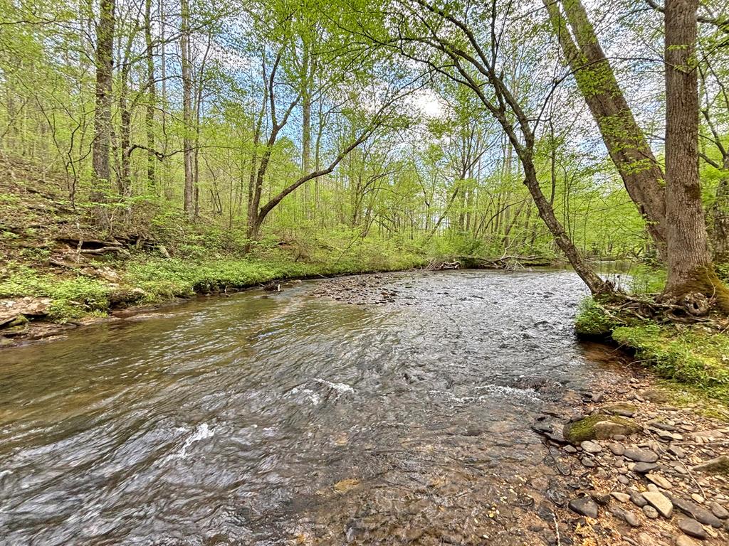 Lt 5 Spiva Cove Road Blairsville GA 30512